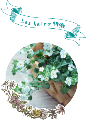 Laz hairの特徴